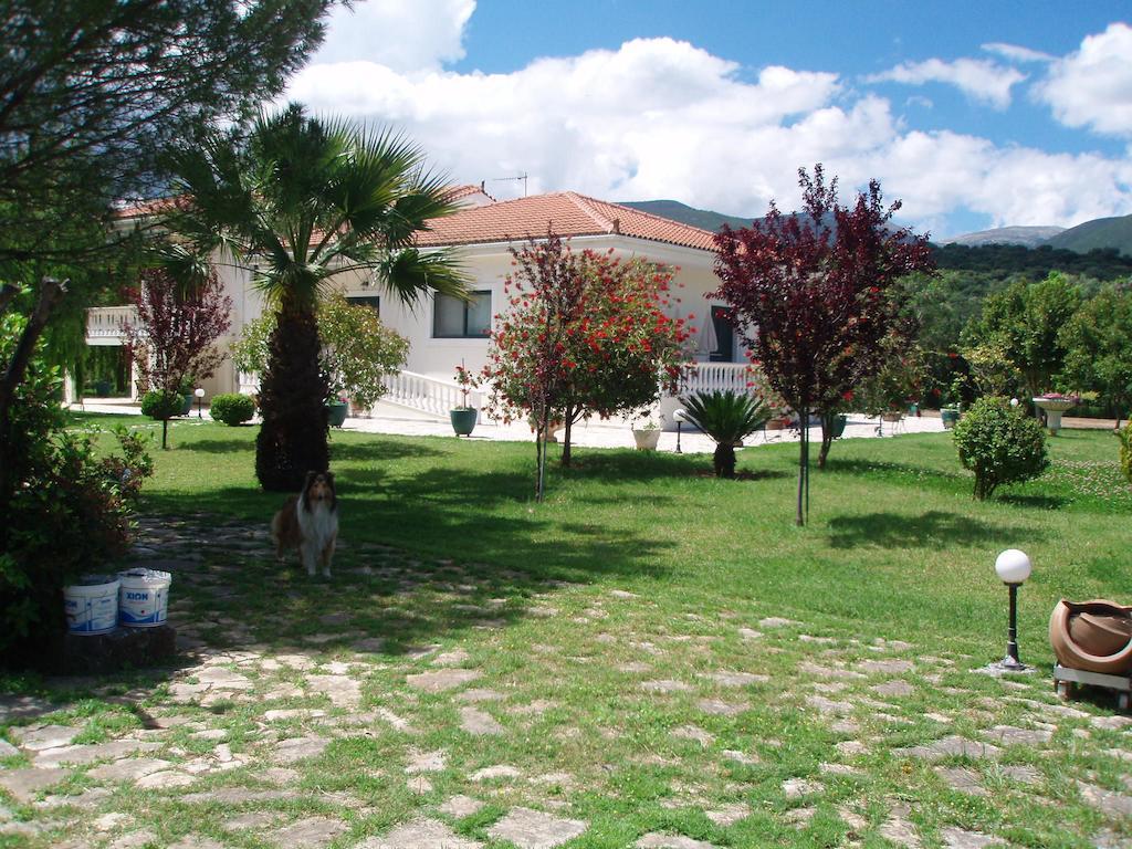 Finikes Studios Kefalonia サミ エクステリア 写真